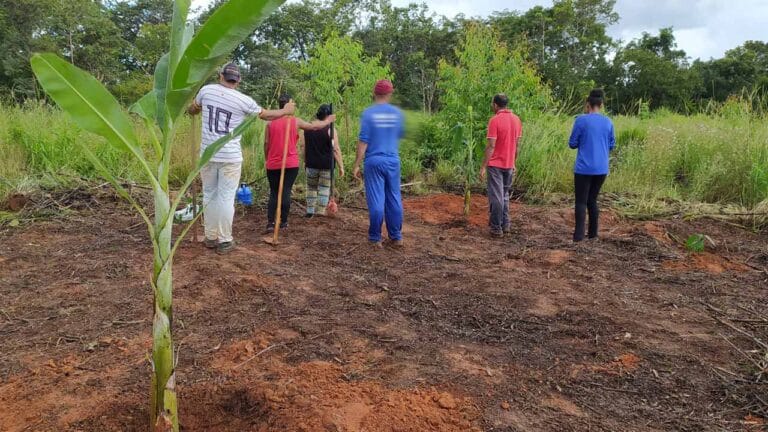 Vallourec registra ocorrência alegando que área de preservação foi invadida por trabalhadores em Brasilândia