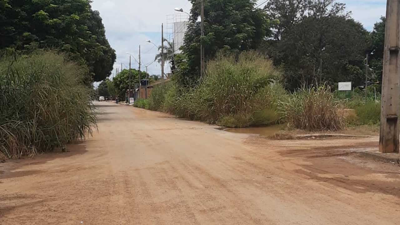 Moradores da Olaria e Ruralminas reclamam da altura do mato e do descaso da Prefeitura Municipal de João Pinheiro