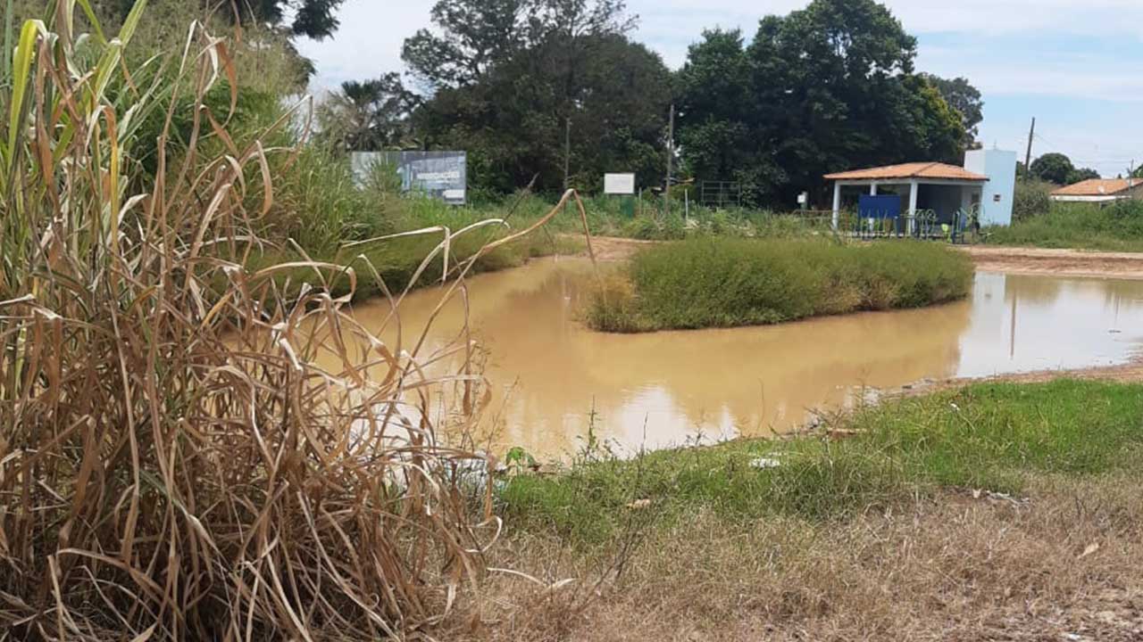 Moradores da Olaria e Ruralminas reclamam da altura do mato e do descaso da Prefeitura Municipal de João Pinheiro