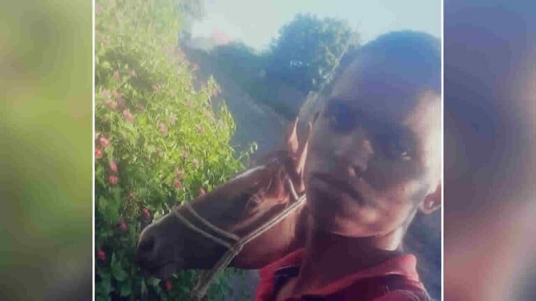 Jovem pede ajuda para encontrar cavalo desaparecido no Bairro Santa Cruz, em João Pinheiro