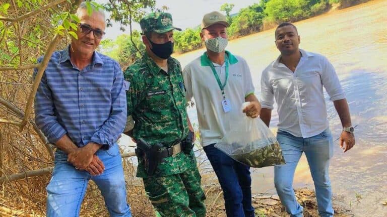 Parceria entre entes públicos entrega 15 mil alevinos ao Rio Paracatu, em Brasilândia de Minas