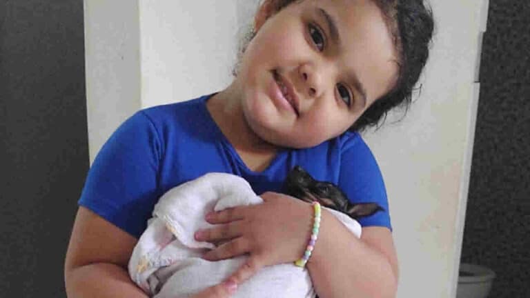 Pinscher é levado por casal que passava na Ruralminas e família pede ajuda para encontrar o cachorrinho