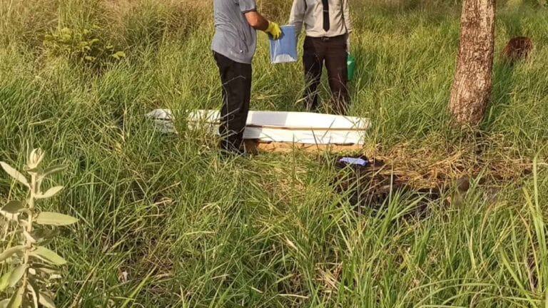 Corpo em avançado estado de decomposição é encontrado na Olaria em João Pinheiro