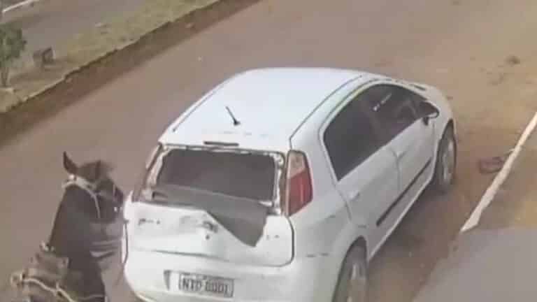 Cavalo puxando carroça bate em carro no Centro de Lagoa Grande; veja o vídeo
