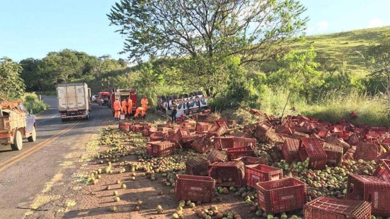 Motorista de caminhão carregado com tomates perde o controle e morre em grave acidente na MGC-354