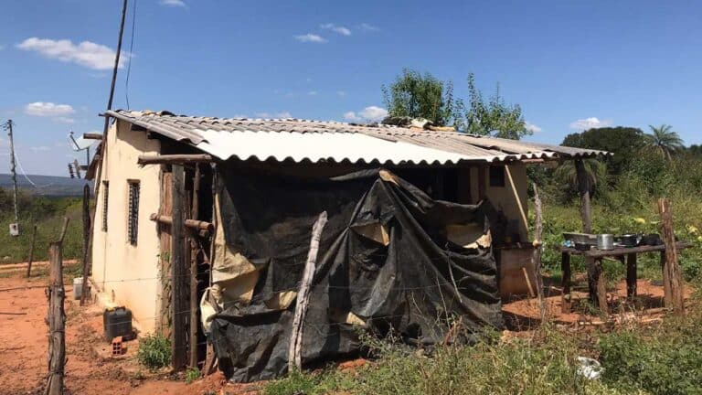 Funcionários de carvoaria são resgatados em situação análoga à escravidão em Minas Gerais