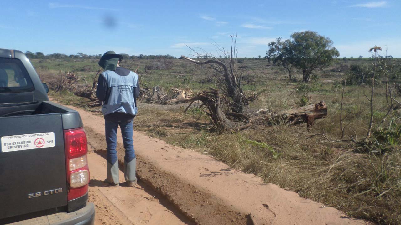 Operação contra desmatamento ilegal em João Pinheiro termina com mais de R$185 mil de multas aplicadas