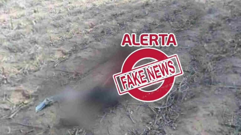 Fake news: é falsa a afirmação de que um homem foi comido por uma onça em João Pinheiro