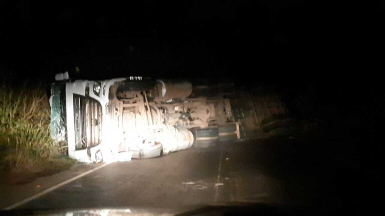 Motorista pinheirense tomba carreta carregada com eucalipto na BR-365 em Patos de Minas