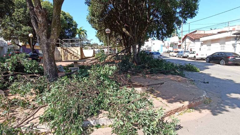 Número alto de usuários de drogas faz moradores tomarem atitude na Praça da Rodoviária em João Pinheiro