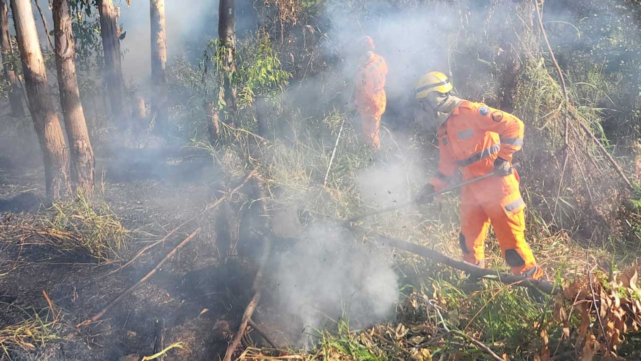 Corpo de Bombeiros volta a pedir consciência da população sobre incêndios em lotes vagos