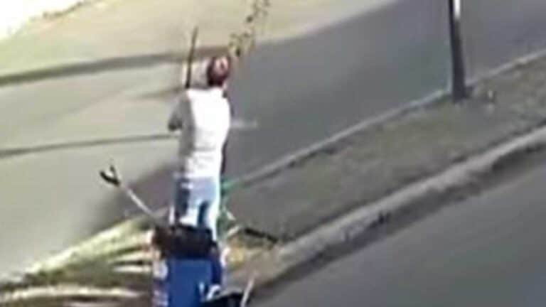 Novas imagens mostram funcionária pública destruindo outra muda na Avenida Gerson Rios, em João Pinheiro