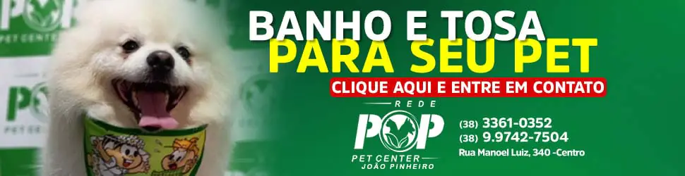 Banho e tosa para seu Pet - POP Pet Center João Pinheiro