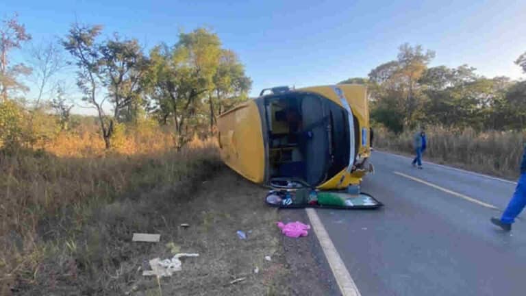 Ônibus de Brasilândia que levava doadores de sangue bate em anta na MG-410 em Lagoa Grande e 4 ficam feridos