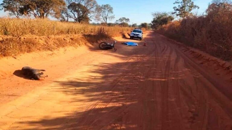 Motociclista de 22 anos atinge cachorro, cai da moto e morre em Lagoa Grande