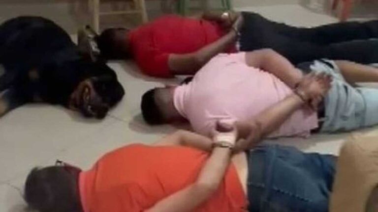 Cachorro 'se rende' e deita ao lado de suspeitos algemados durante operação policial