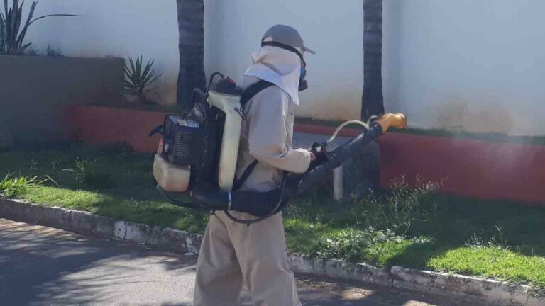 João Pinheiro tem 351 casos prováveis de dengue, segundo boletim estadual