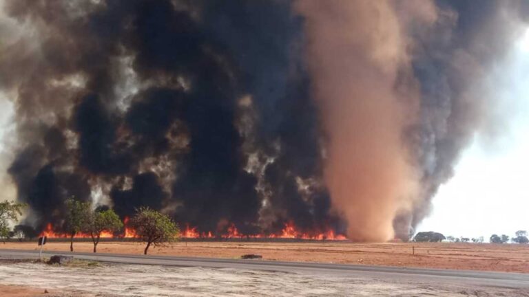 Incêndio de grandes proporções queima mais de 250 hectares de canavial em Luizlândia do Oeste (JK)