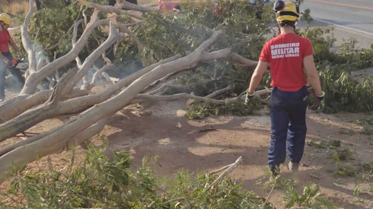 Corpo de Bombeiros realiza corte de árvore às margens da BR-040 que estava prestes a cair em João Pinheiro