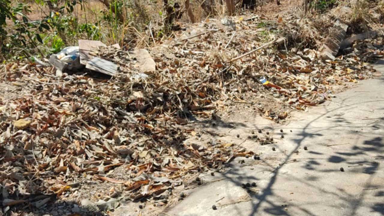 Moradora faz nova denúncia sobre preservação do Córrego Extrema, em Brasilândia de Minas