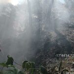 Suposto incêndio criminoso consome quase 1 hectare de vegetação em João Pinheiro