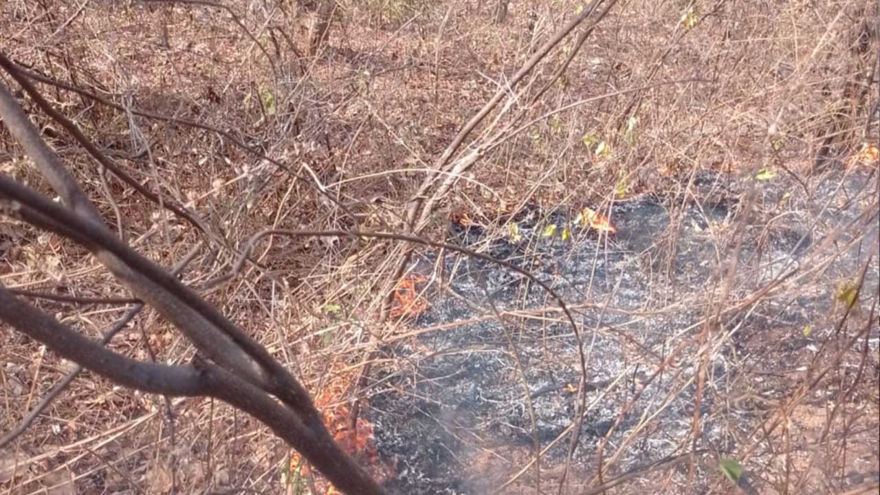 Incêndio próximo ao Café do Amigo já dura mais de 24 horas; mais de 54 hectares já queimaram