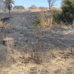 Incêndio consome mais de 1 hectare de vegetação no perímetro urbano de João Pinheiro