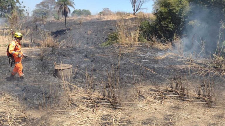 Incêndio consome mais de 1 hectare de vegetação no perímetro urbano de João Pinheiro