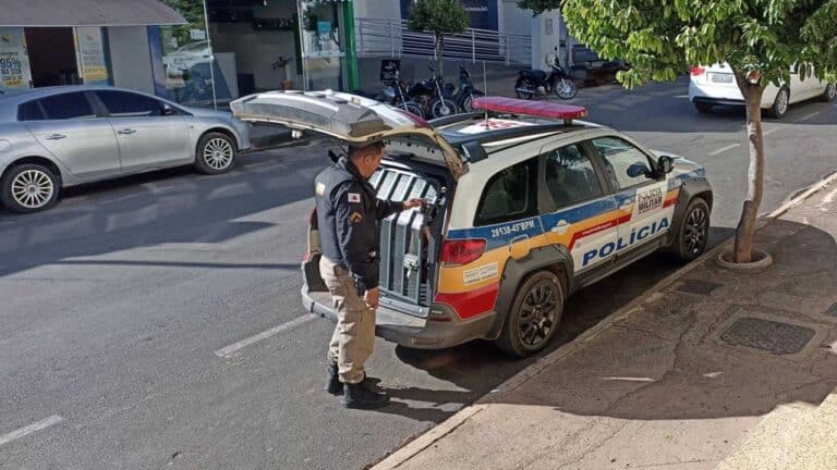 Alvo da polícia tenta fugir durante cumprimento de mandado de prisão no Bairro Santa Cruz 2, em João Pinheiro