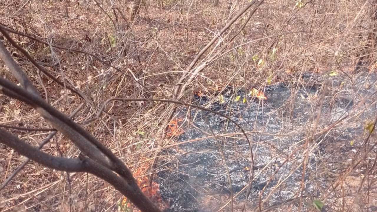 Incêndio que atingiu fazenda no Café do Amigo durou 36 horas e queimou 70 hectares