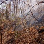 Incêndio que atingiu fazenda no Café do Amigo durou 36 horas e queimou 70 hectares