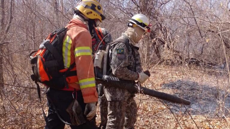 Incêndio que atingiu fazenda no Café do Amigo durou 36 horas e queimou 70 hectares