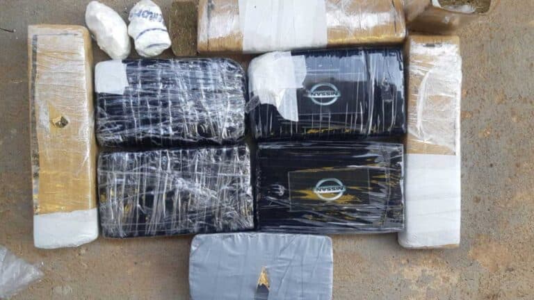 PRF apreende pássaros silvestres e droga avaliada em R$800 mil em São Gonçalo do Abaeté