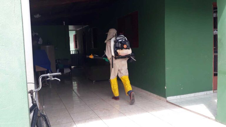 Número de casos prováveis de dengue em João Pinheiro sobe para 354, segundo dados da SES-MG