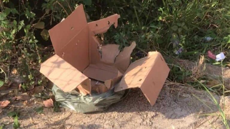 Recém-nascida é encontrada ainda com cordão umbilical dentro de caixa de papelão em Minas Gerais