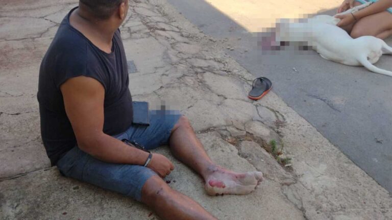 Policial militar é atacado por Pitbull e mata animal para se defender em João Pinheiro