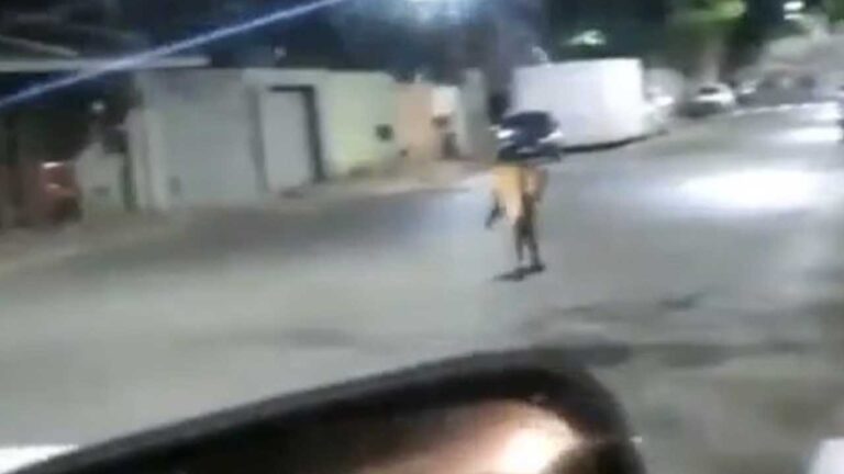 Lobo Guará adulto é visto correndo por uma das principais ruas de João Pinheiro
