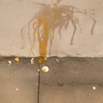 Câmera flagra funcionário da prefeitura arremessando ovo podre em muro de residência em João Pinheiro