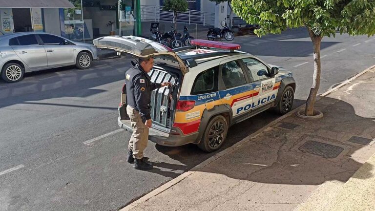 Em ato de loucura, homem se passa por policial civil, invade residências e agride moradores em João Pinheiro