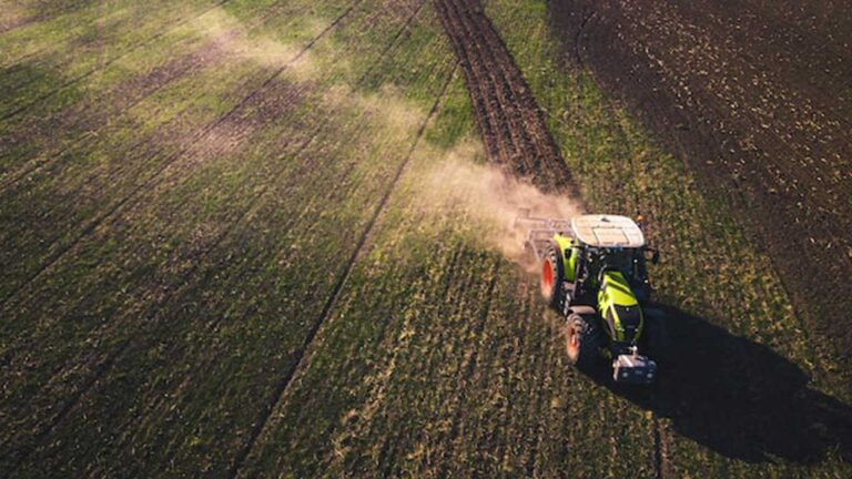 Projeto Agronordeste alavanca pequenos produtores regionais
