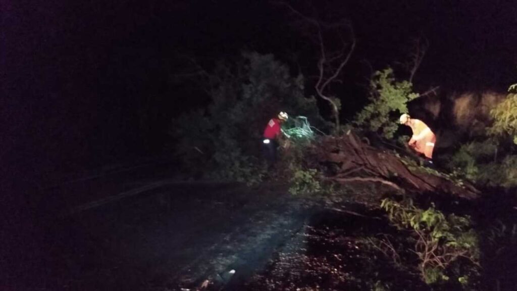 Bombeiros de João Pinheiro retiram árvore que caiu e obstruiu a MG–410 na Serra da Bela Vista