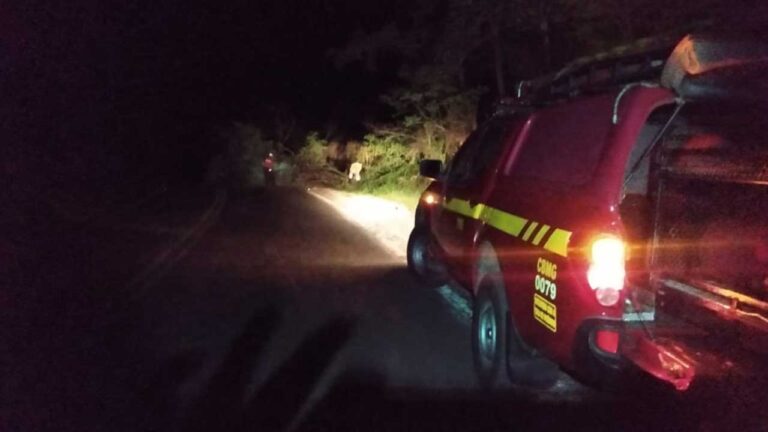 Bombeiros de João Pinheiro retiram árvore que caiu e obstruiu a MG–410 na Serra da Bela Vista