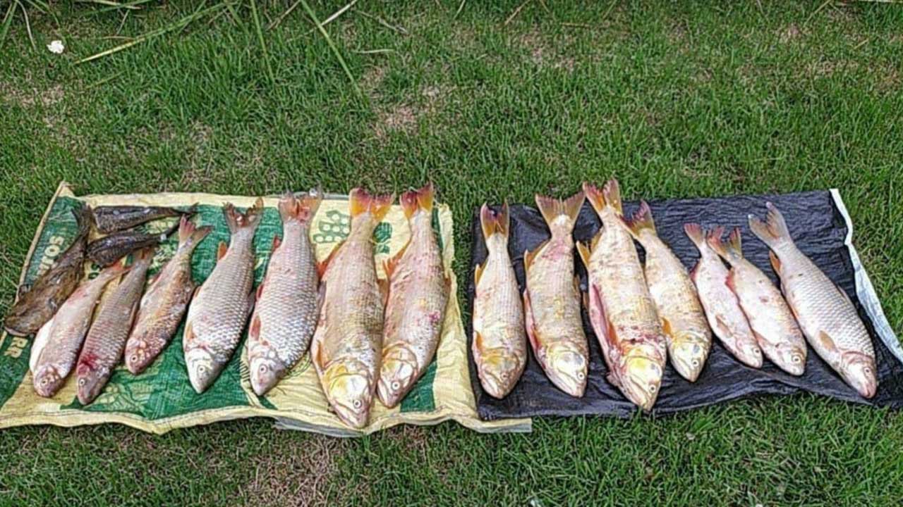 Homem é preso com quase 13kg de peixes pescados no Rio da Prata