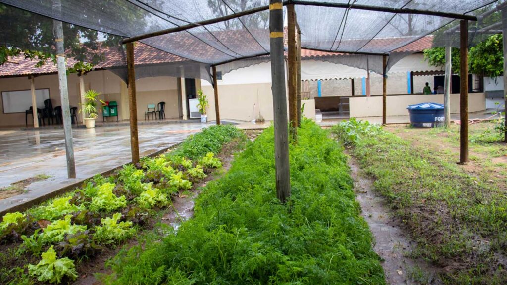 Com parceria da Metra Industrial, projeto 'Horta na Escola' é implantado em Escola Estadual de João Pinheiro