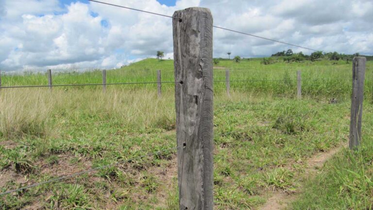 Discussão por conta de cerca na zona rural vira caso de polícia em João Pinheiro