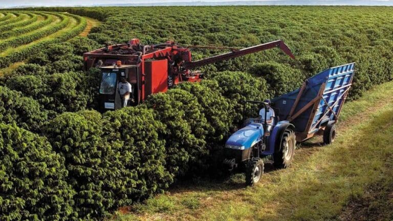 Minas bate novo recorde e exportações do agro atingem US$ 14,2 bilhões
