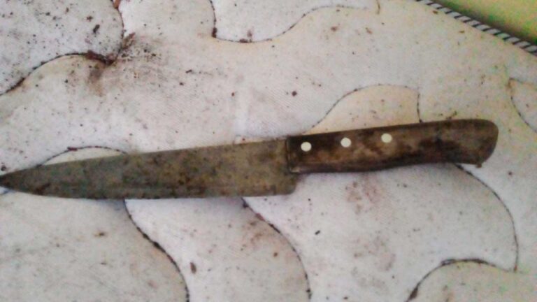Ladrão invade residência pelo telhado e cai em cima de idosa de 82 anos em Brasilândia de Minas