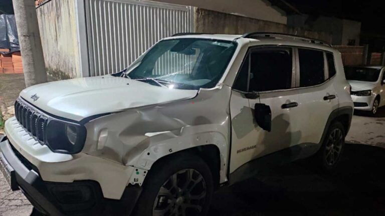 Motorista que bateu em cavalo solto na rua processa Prefeitura de João Pinheiro pedindo mais de R$20 mil de indenização