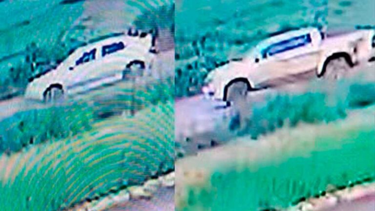 Bandidos armados invadem fazenda e agridem idoso com deficiência para roubar dinheiro e caminhonete em PO