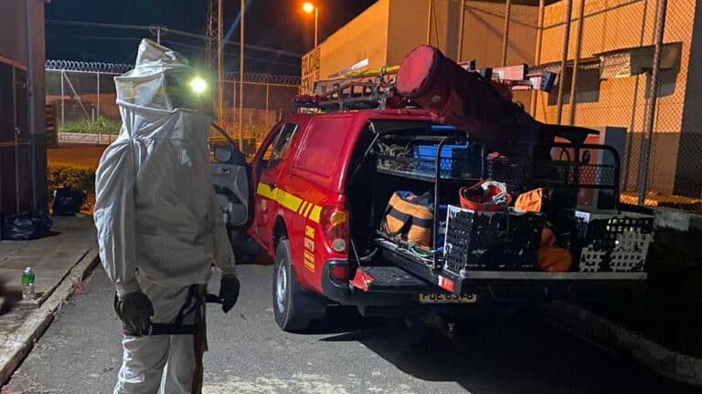 Corpo de Bombeiros resgata abelhas que se acomodaram no Presídio de João Pinheiro